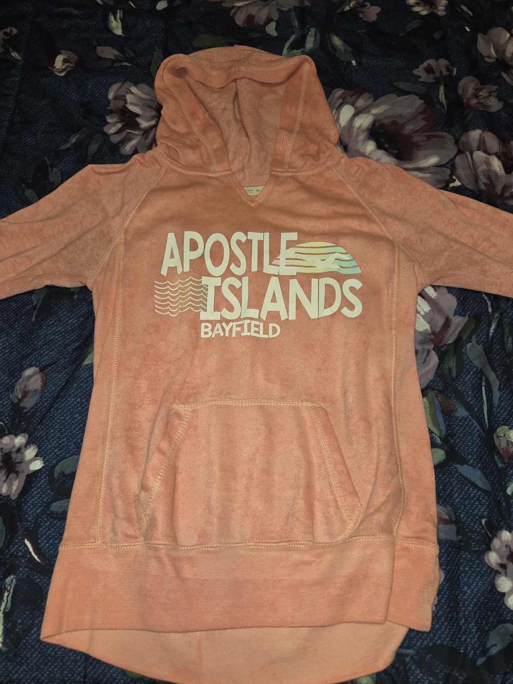 Apostle Islands Bayfield Coral Hoodie